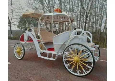 Pumpkin Carriage Sydney – Royal Wedding & Event Décor by Bollywood Mantra 4u - 2/2
