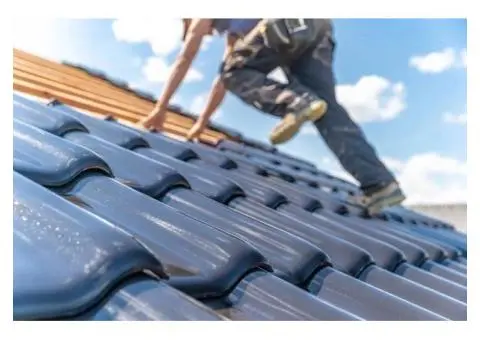 Roof Painting Services for a Fresh New Look