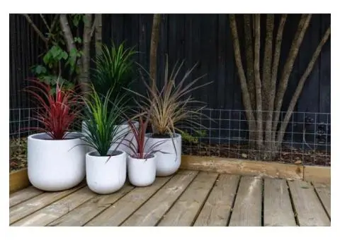 Keep It Green With Artificial Plants Brisbane Homes Love