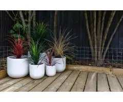 Keep It Green With Artificial Plants Brisbane Homes Love