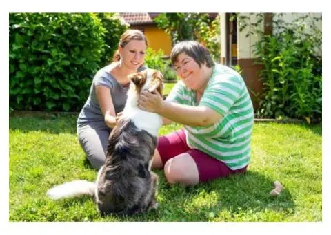 Trusted Registered NDIS Service Providers in Brisbane for Quality Care - 3/4