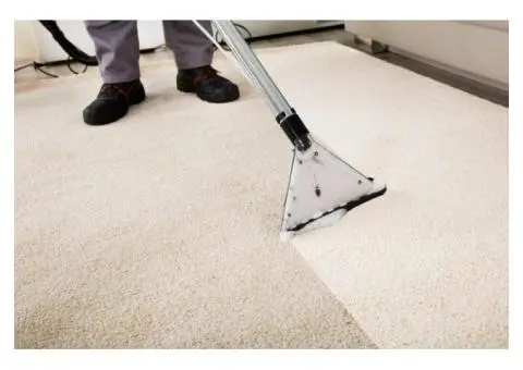 Expert Carpet Cleaning in Wollongong