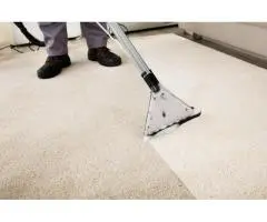 Expert Carpet Cleaning in Wollongong