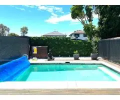 Add Impact To Indoors And Outdoors Using Artificial Plant Walls