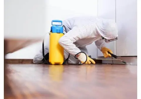 Same Day Pest Control Caboolture - Fast Professional Pest Removal