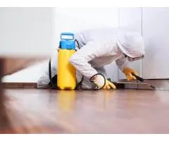 Same Day Pest Control Caboolture - Fast Professional Pest Removal