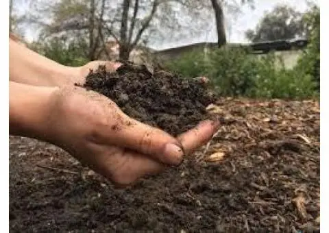 How All-Purpose Organic Fertiliser Can Improve Your Garden Naturally