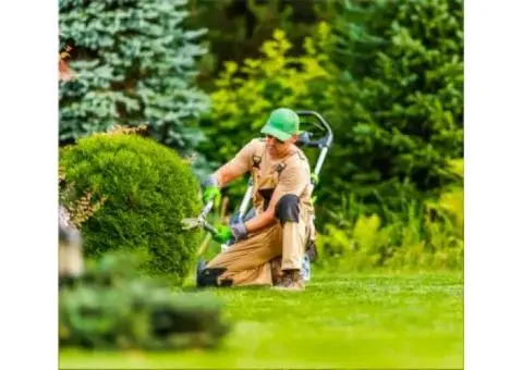 Looking for reliable gardening services in Adelaide?