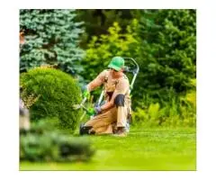 Looking for reliable gardening services in Adelaide?