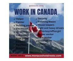 BREAKING: Jobs Available in Canada!