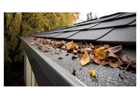 Professional Gutter Cleaning Geelong Services