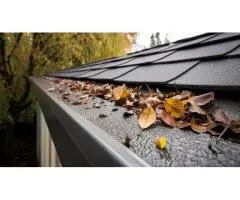 Professional Gutter Cleaning Geelong Services