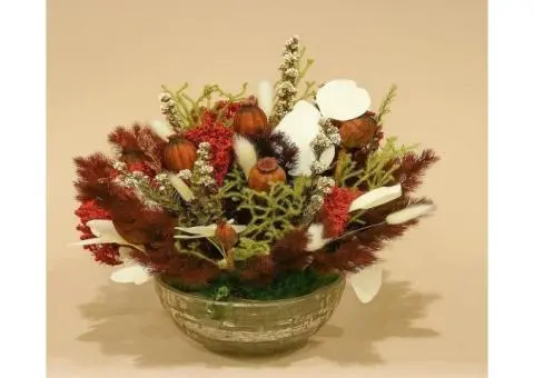 Stylish Dried Flowers Gold Coast – Flowers of Southport