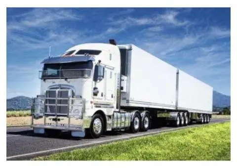 Eco-Friendly Waste Management Solutions – EWS Group