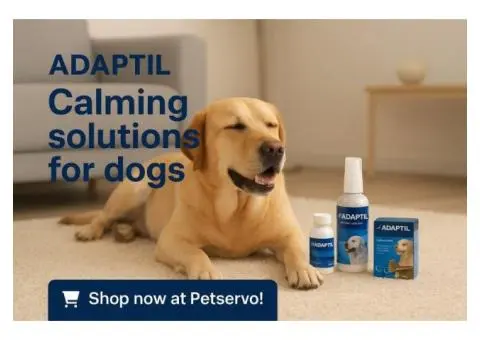 Adaptil – Calming Solutions for Dogs | Shop Now at Petservo