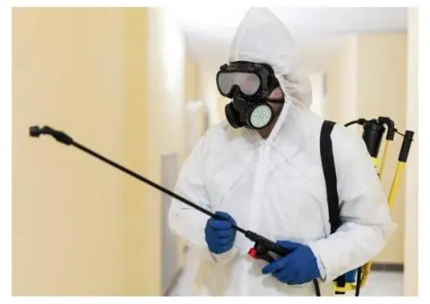 Professional Ant Treatment Gold Coast – Safe, Effective & Affordable