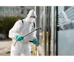 Rodent Control Gold Coast – Safe, Reliable & Affordable Pest Solutions