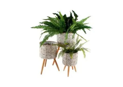 Stylish Plant Pots for Every Home