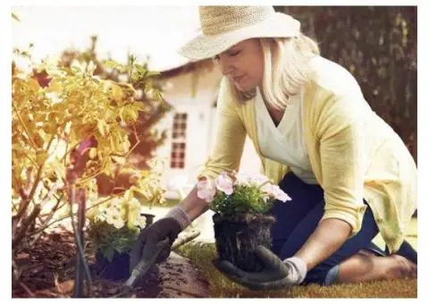 Reliable NDIS Gardening Services in Sydney