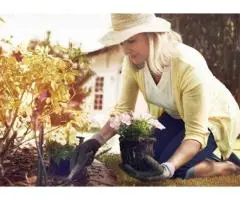 Reliable NDIS Gardening Services in Sydney