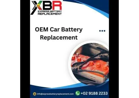 OEM car battery replacement