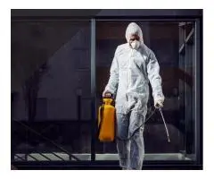 Pest Control Fairfield