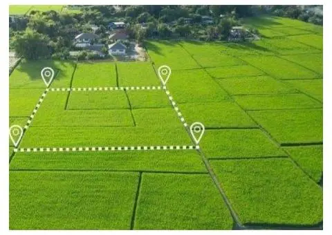 Where to Find Trusted Land Title Services in NSW?