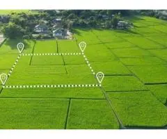 Where to Find Trusted Land Title Services in NSW?