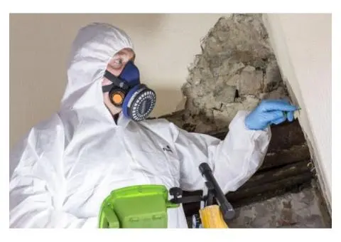 Trusted Asbestos Removal Company for Safe Homes