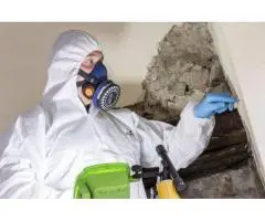 Trusted Asbestos Removal Company for Safe Homes