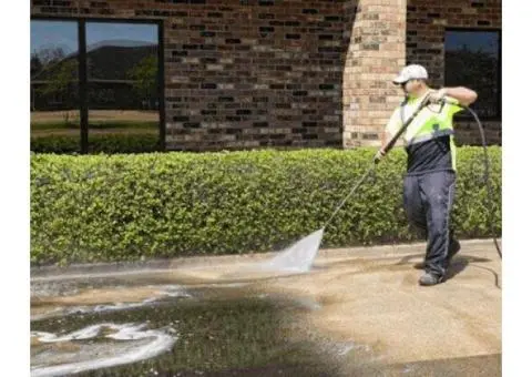 Opt for quality House Washing in Belrose today