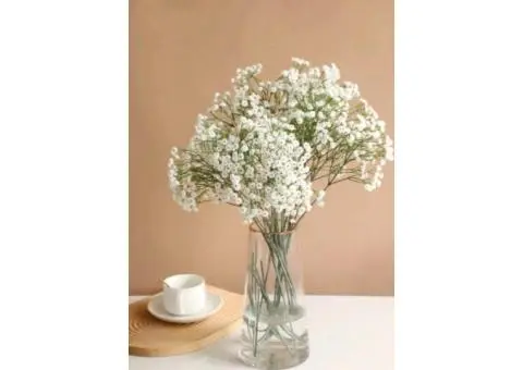 Furniture Shop Dallas | Elegant Collections | Australia