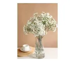 Furniture Shop Dallas | Elegant Collections | Australia