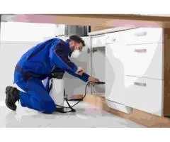 Same Day Pest Control North Lakes - Fast & Reliable Service