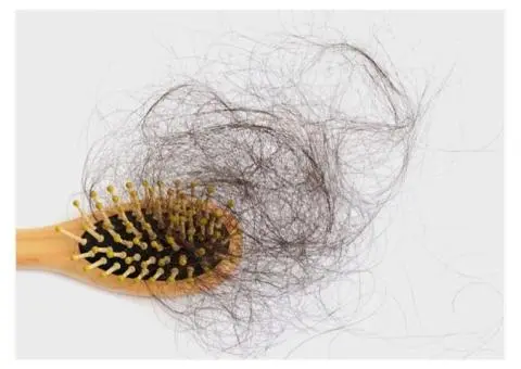 Ayurveda Consultation Sydney