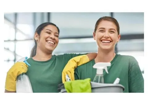 Hire Us for Amazing Cleaning Services for Home & Offices - 2/4