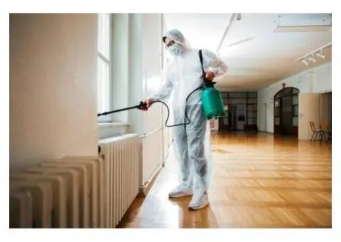 Same Day Pest Control Services in Brisbane City