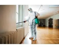 Same Day Pest Control Services in Brisbane City