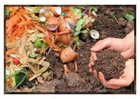 Why Slow Release Organic Fertiliser Is Good for Your Plants