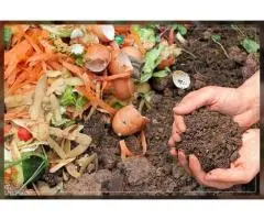 Why Slow Release Organic Fertiliser Is Good for Your Plants