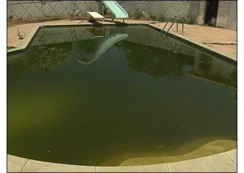 Box Hill Pool cleaning service-Professional Pool Cleaning in Box Hill