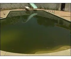 Box Hill Pool cleaning service-Professional Pool Cleaning in Box Hill