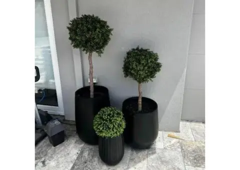 Install Artificial Plants to Elevate Your Brisbane Space with Instant Greenery