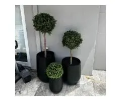 Install Artificial Plants to Elevate Your Brisbane Space with Instant Greenery