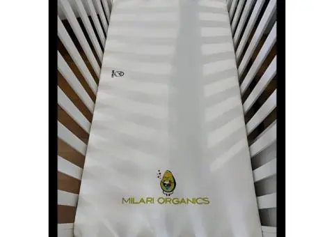 Upgrade Your Baby’s Mattress to Premium Organic Air Mattresses - 1/3