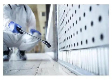 Top-Rated Pest Control in Adelaide Hills – Safe, Fast & Affordable Solutions