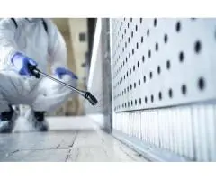 Top-Rated Pest Control in Adelaide Hills – Safe, Fast & Affordable Solutions