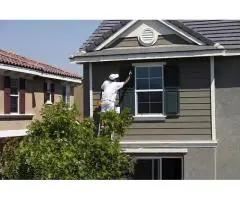 Brighten your home with professional house painting in Sydney