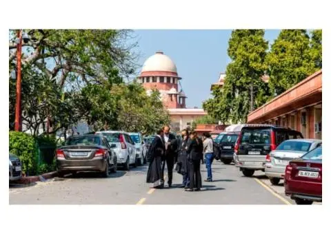 Shaping Stronger Legal Outcomes with Expert Lawyers in Box Hill