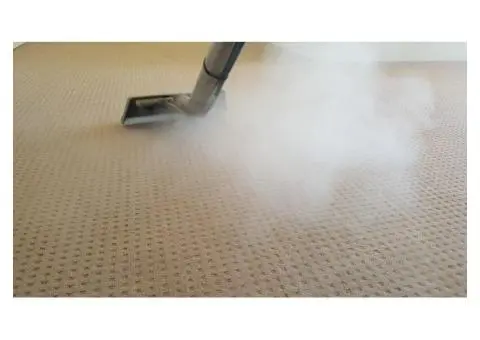 Affordable Carpet Steam Cleaning Adelaide | Book Now